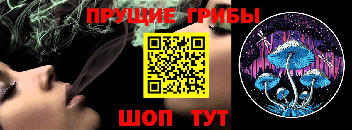 Псилоцибиновые грибы Cubensis Новокубанск