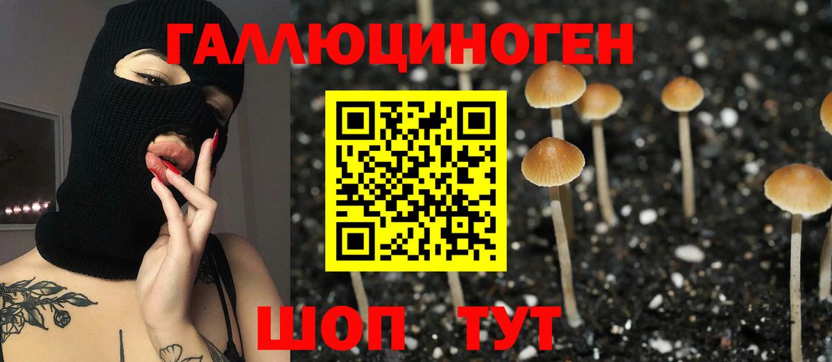 Псилоцибиновые грибы Cubensis  Галлюциногенные грибы мухоморы  Новокубанск  Вход с VPN 